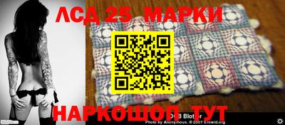 шишки Заволжье