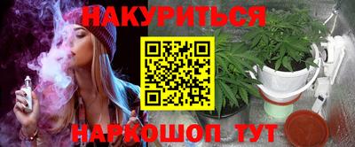 шишки Заволжье
