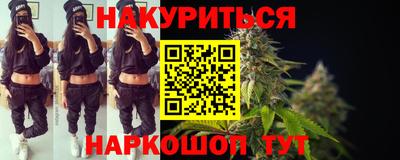 шишки Заволжье