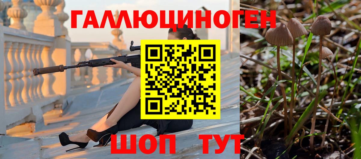 Псилоцибиновые грибы Psilocybe  Вход с VPN  Ялта 