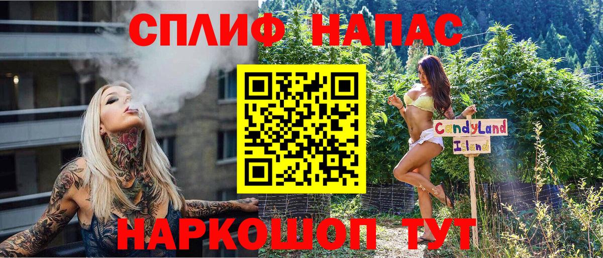 Конопля гибрид  Каннабис планчик  Ялта  Каннабис семена  МАРИХУАНА THC 21%  Вход с VPN 